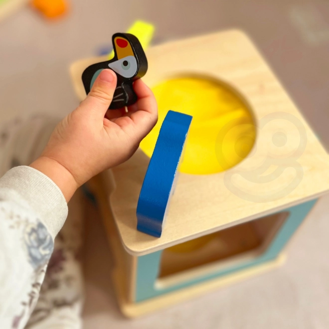 Izobraževalni Montessori Box za otroke v starosti 31-36 mesecev