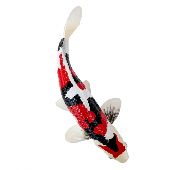Mojo krap koi showa sanshoku