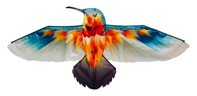 Zmaj Kolibri