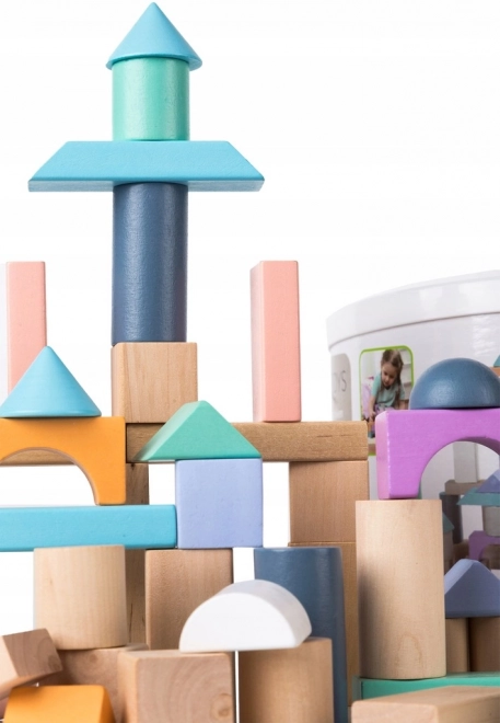 Lesene kocke 100 kosov v vedru s sortirnikom Ecotoys