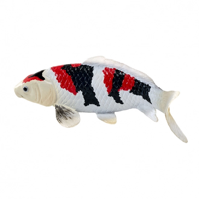 Mojo krap koi showa sanshoku