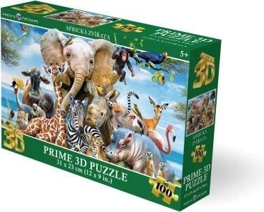 Sestavljanka Afriški nasmeh 3D 63 koščkov
