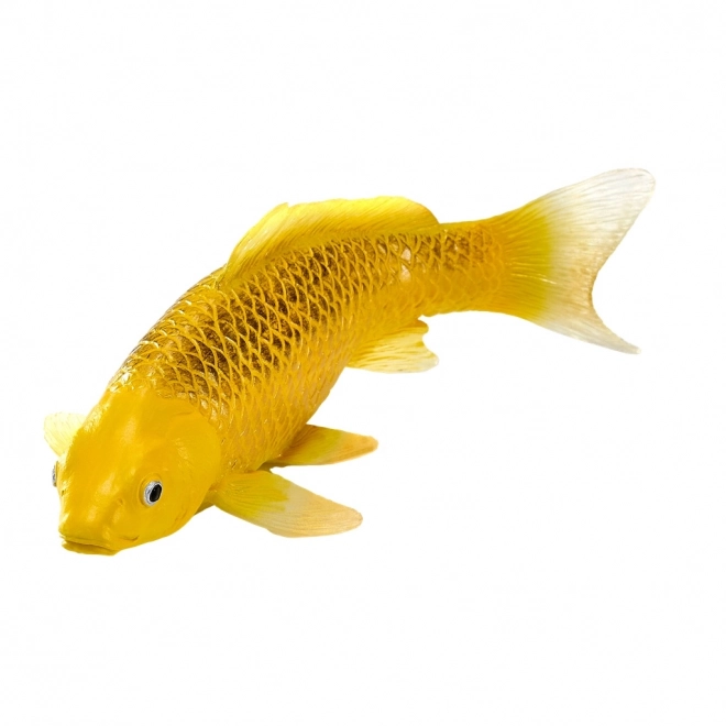 Mojo krap koi Matsuba