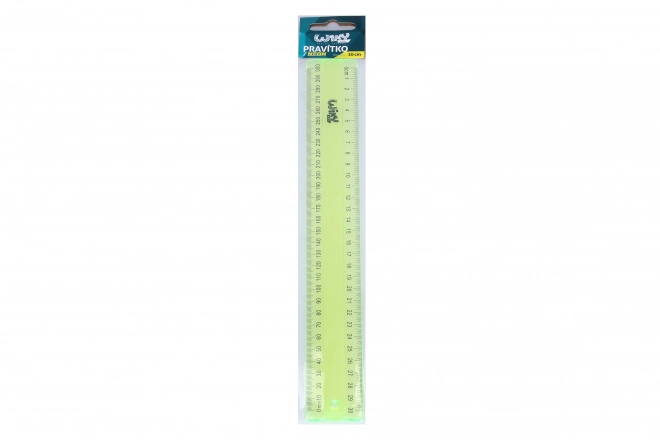 Pravilo 30 cm neon
