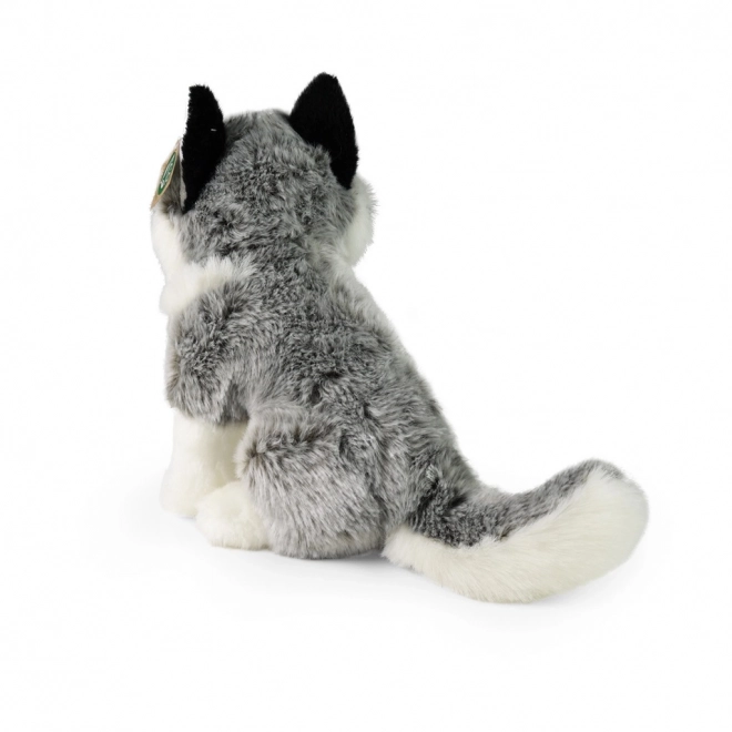 Plišasti husky 30 cm okolju prijazen