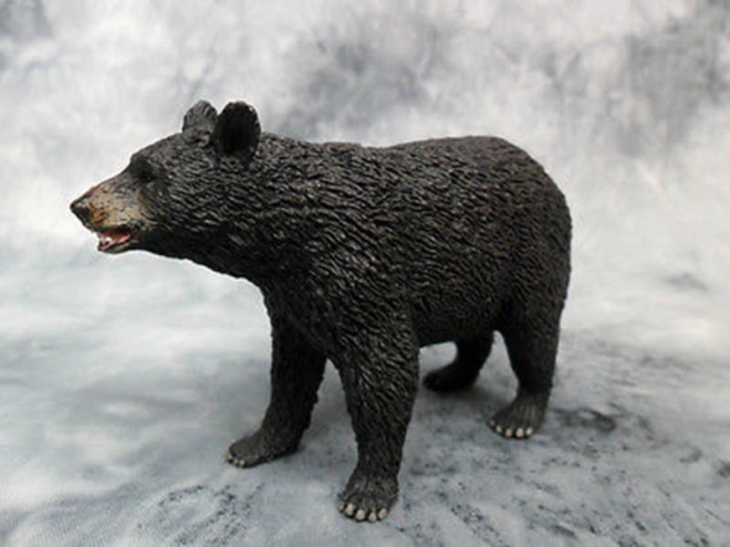 COLLECTA Ameriški črni medved