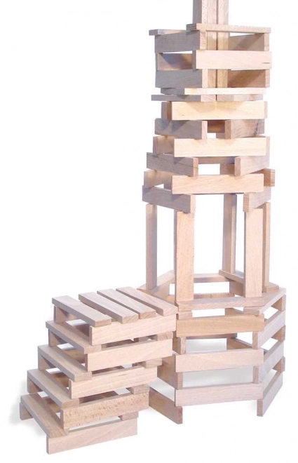 Vnaprej Vezi Lesene Kocke Vilac Batibloc 200 Kosov