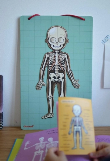 Nazorno spoznavanje človeškega telesa