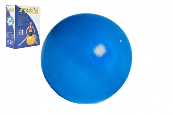 Gimnastična žoga 75cm rehabilitacijska sprostitvena v škatli 16x22cm