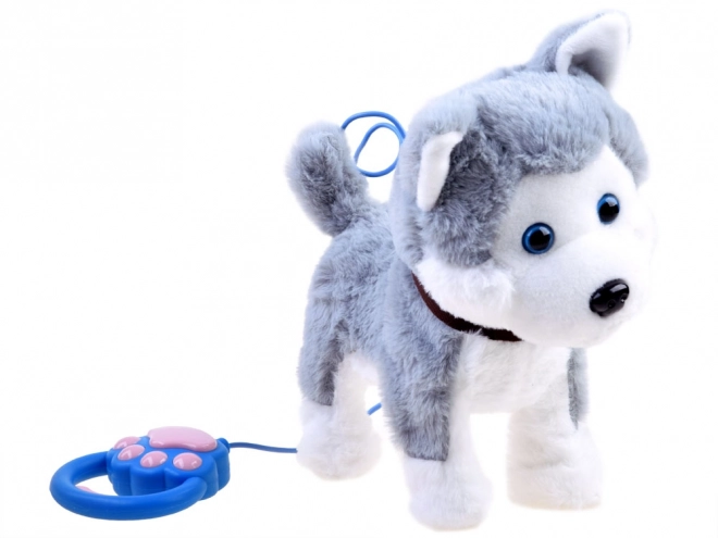 Interaktivni Husky pes na povodcu