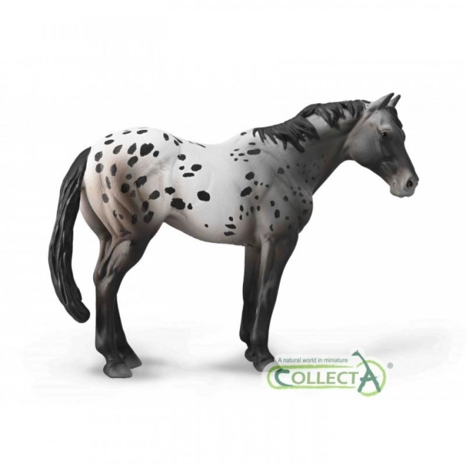 Collecta appaloosa modri grošák