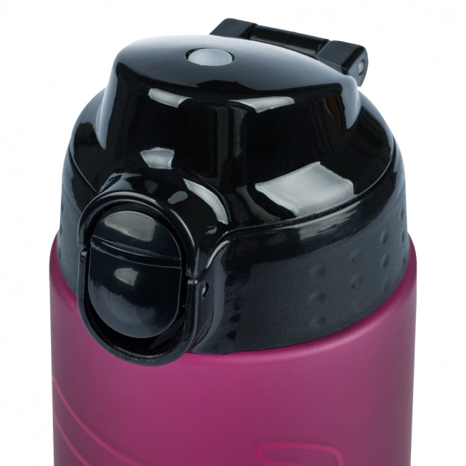 BAAGL Tritanova steklenica za pitje Ruby, 700 ml
