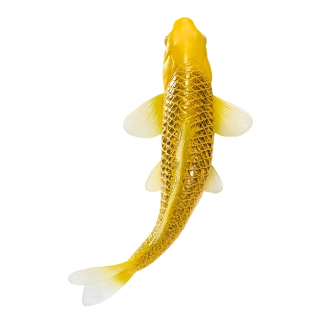 Mojo krap koi Matsuba