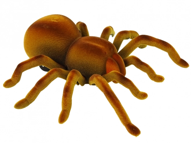 Daljinsko upravljan tarantula Infrared Brown R/C