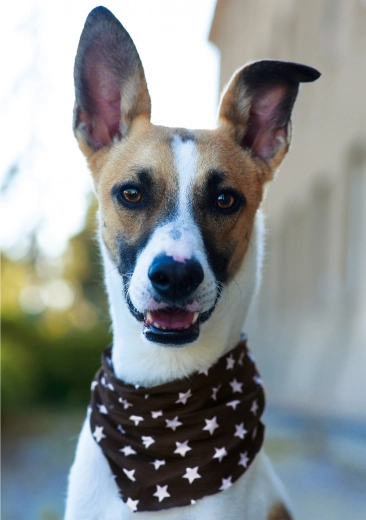 Visokokakovostna izdelava