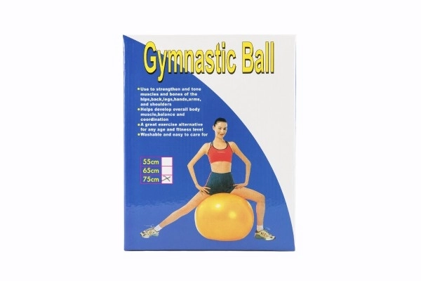 Gimnastična žoga 75cm rehabilitacijska sprostitvena v škatli 16x22cm