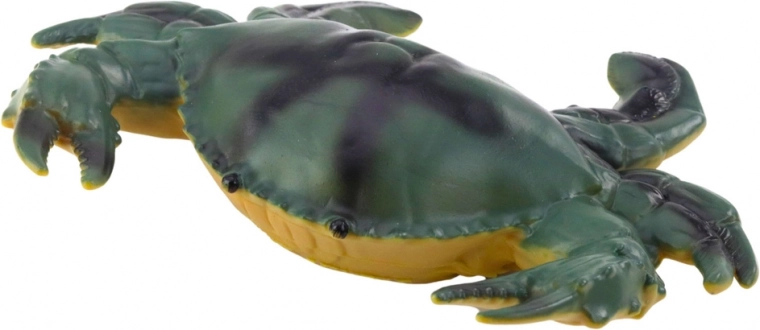 Realistične barve in različne vrste morskih živali