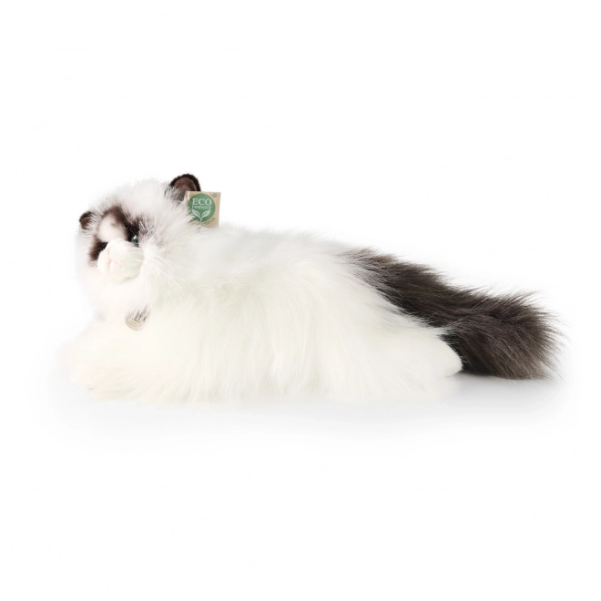 Plišasta mačka Ragdoll 35 cm ekološka