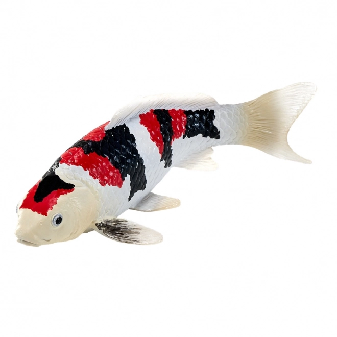 Mojo krap koi showa sanshoku