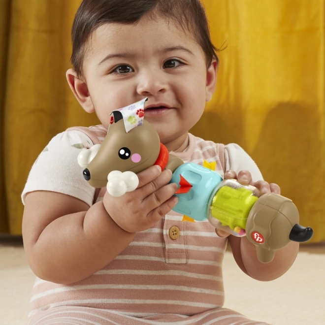 Fisher Price Rasleča in klapajoča jazbečarka HTW91