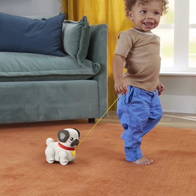 Fisher Price Sprehajalec mops HTW94