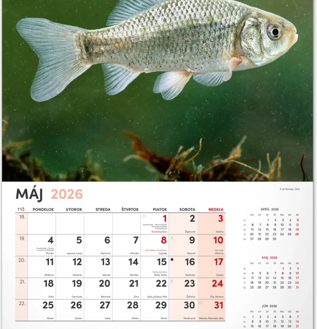 Stenski koledar Ribiški 2026