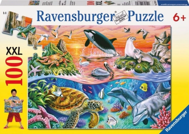 Puzzle Čudoviti ocean XXL od Ravensburger 100 kosov