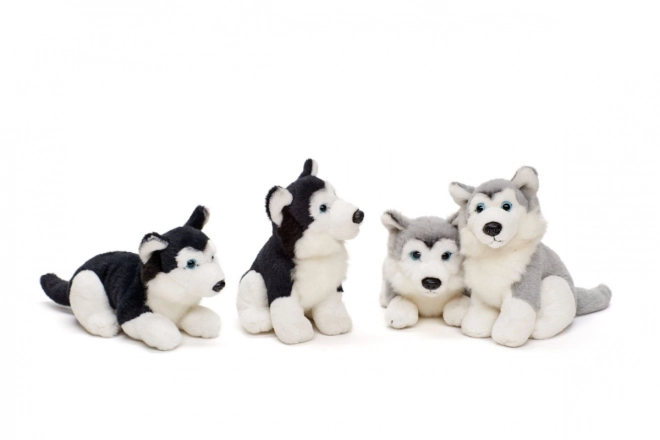 Plišasti husky 15 cm