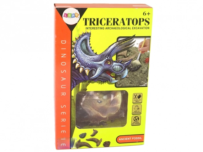 Izobraževalni komplet izkopanin Triceratops