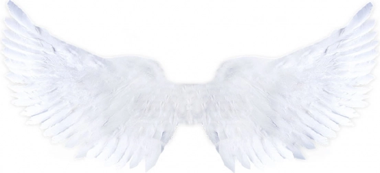 Bela angelska krila s bleščicami