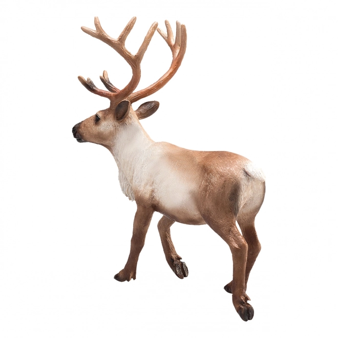 Mojo Animal Planet Pes