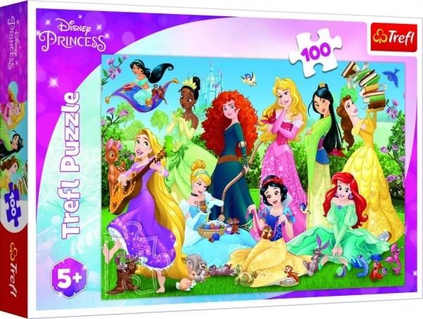 Uganka Čudovite princese/Disney 100 kosov 41x27,5 cm v škatli 29x19x4 cm