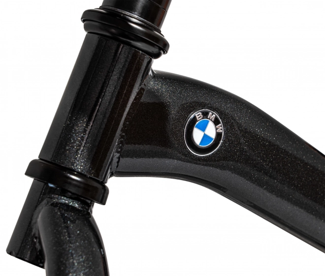 Tekmovalno kolo BMW Rastar