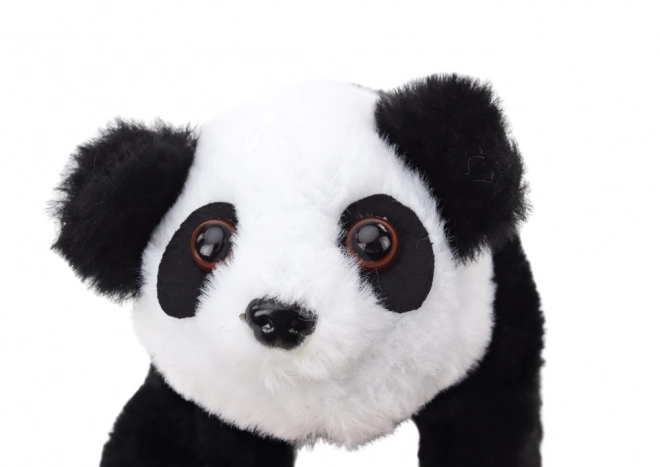 Interaktivna plišasta panda v barvi Transporter Pink Blue