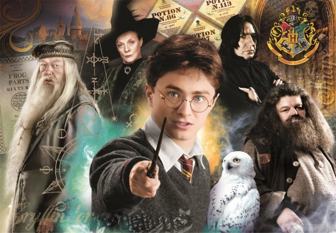 Sestavljanka 1000 koščkov Compact Harry Potter