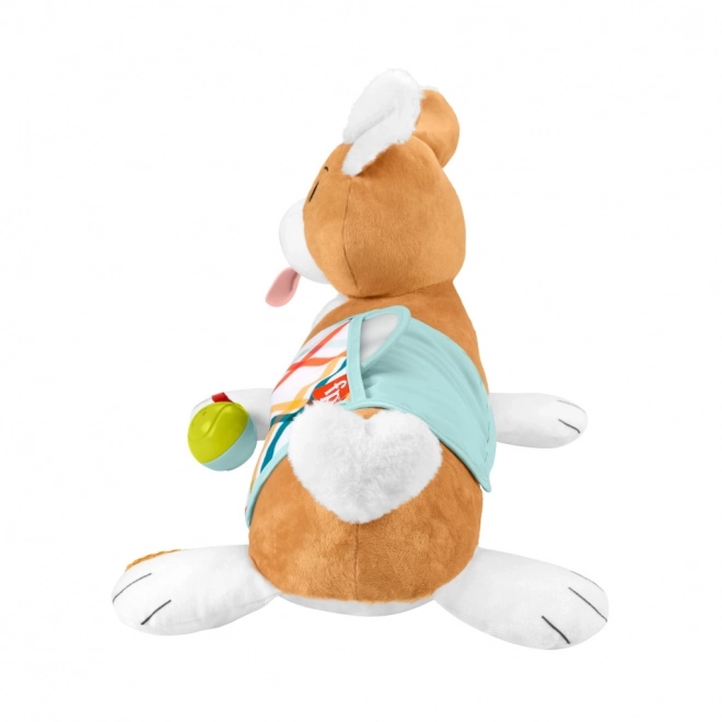 Podloga za dojenčke Fisher-Price