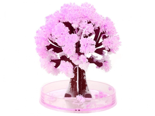 Čarobno drevo Sakura