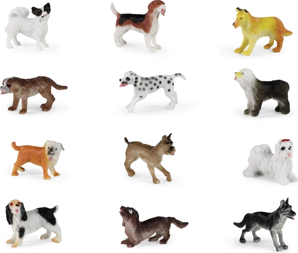 12 različnih pasem v enem setu