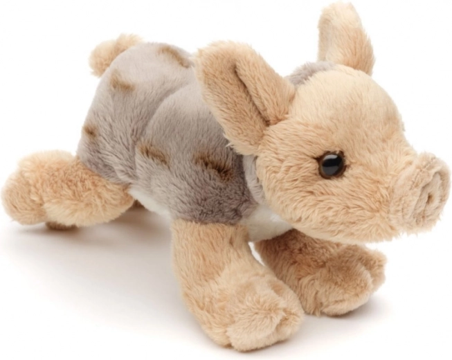 Lahko in idealno za na pot