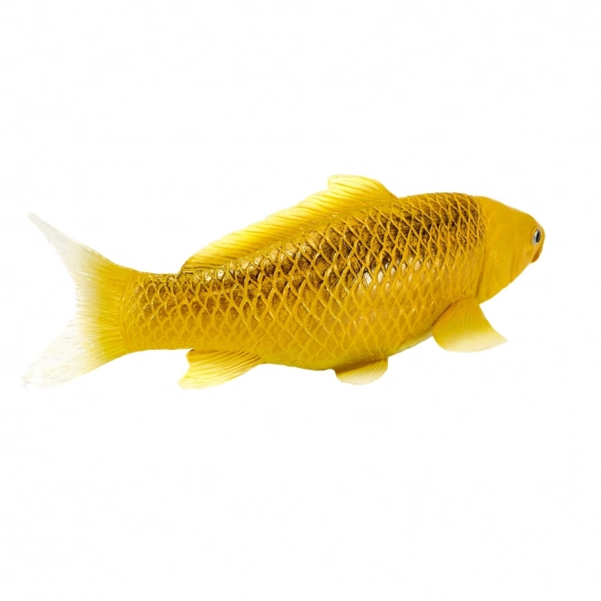 Mojo krap koi Matsuba