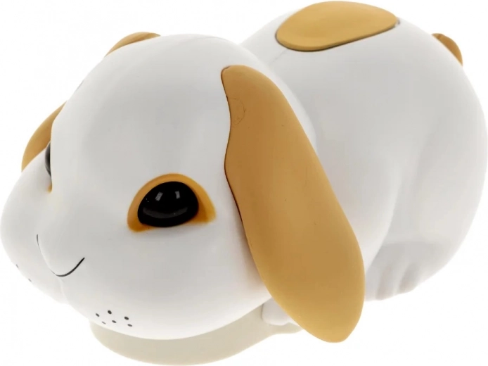 Nemirni zajček, ki požene zabavo