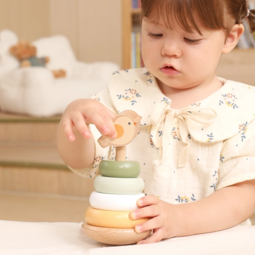 Razvoj motorike in logičnega mišljenja