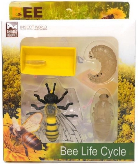 Figurica razvojni cikel čebele set 4 kosi
