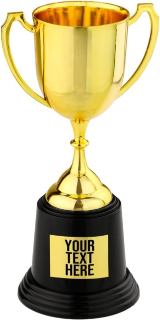 Pokalska trofeja 22 cm