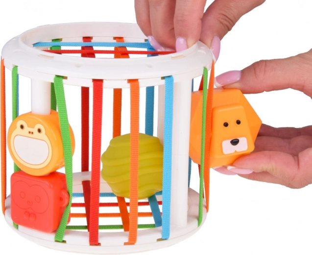 Pametna sortirka z elastičnimi trakovi