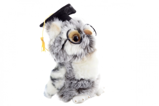 Plišasta sova Diplomant
