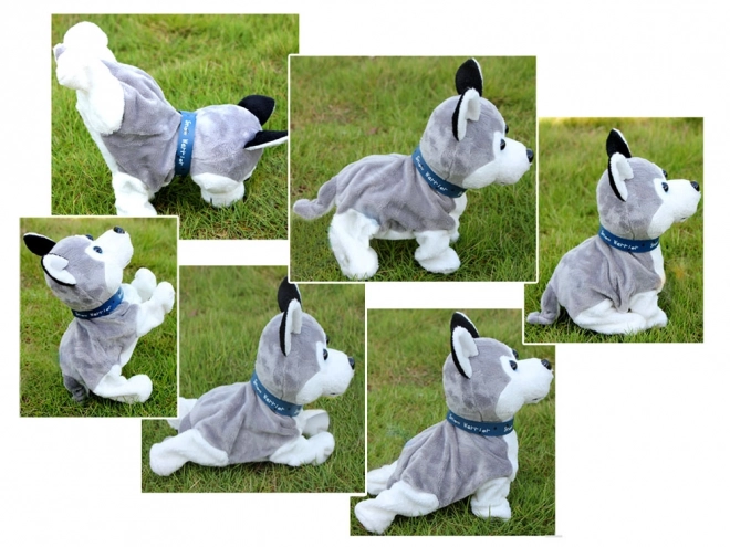 Interaktivni plišasti pes Husky