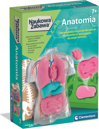 Izobraževalni komplet anatomije CLEMENTONI