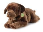Rappa plišasti labradorec 61 cm ECO-FRIENDLY
