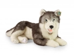 Plišasti pes husky ležeč 60 cm ECO‑FRIENDLY od RAPPA
